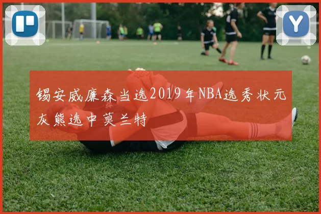 锡安威廉森当选2019年NBA选秀状元灰熊选中莫兰特