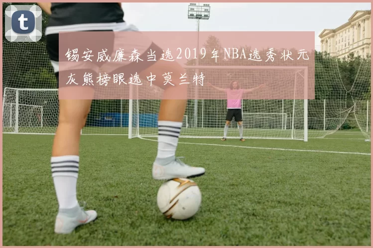 锡安威廉森当选2019年NBA选秀状元灰熊榜眼选中莫兰特