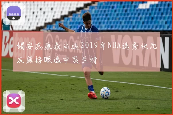 锡安威廉森当选2019年NBA选秀状元灰熊榜眼选中莫兰特