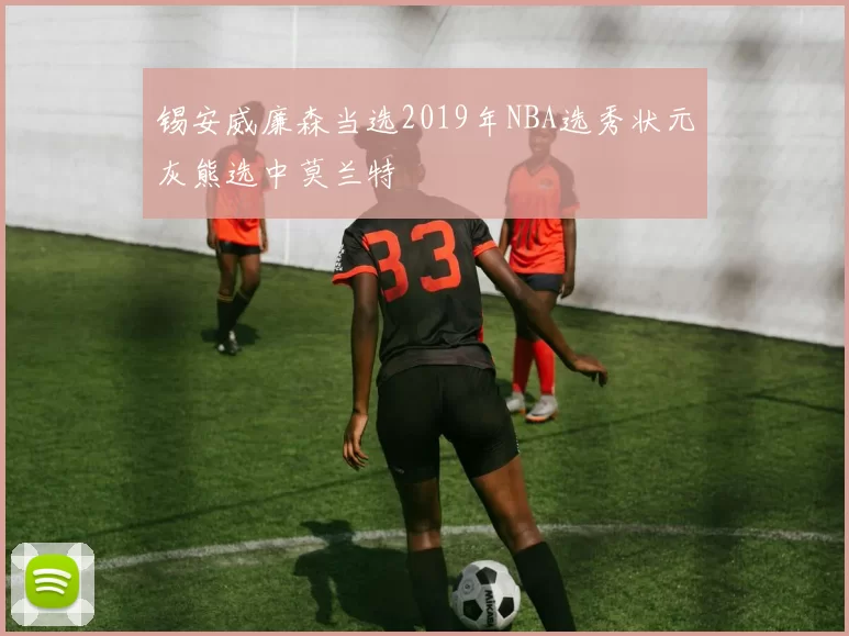 锡安威廉森当选2019年NBA选秀状元灰熊选中莫兰特