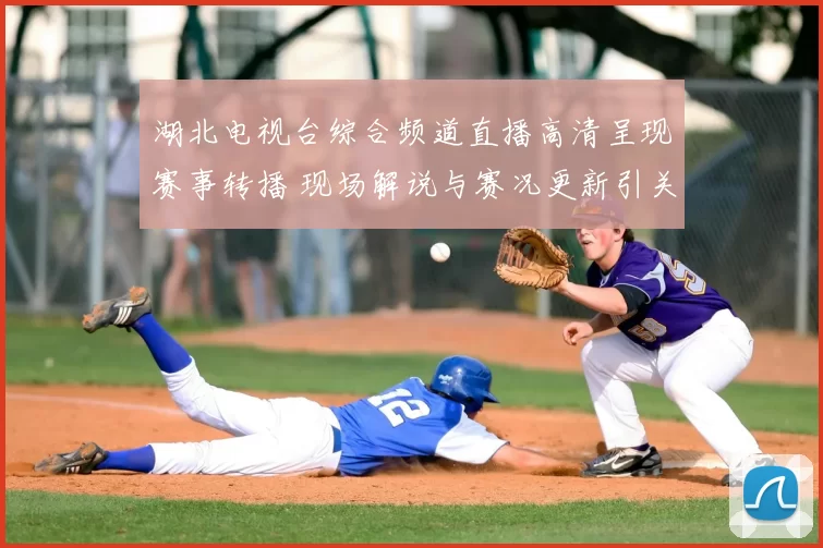 湖北电视台综合频道直播高清呈现赛事转播 现场解说与赛况更新引关注